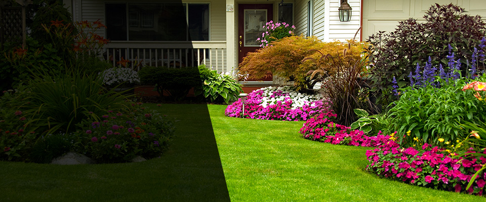 Homer Landscapers